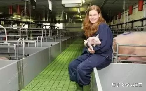 盘点 | 全球七大农业强国究竟强在哪？很多和我们想象得不一样359 / 作者:教们边束千 / 帖子ID:107194