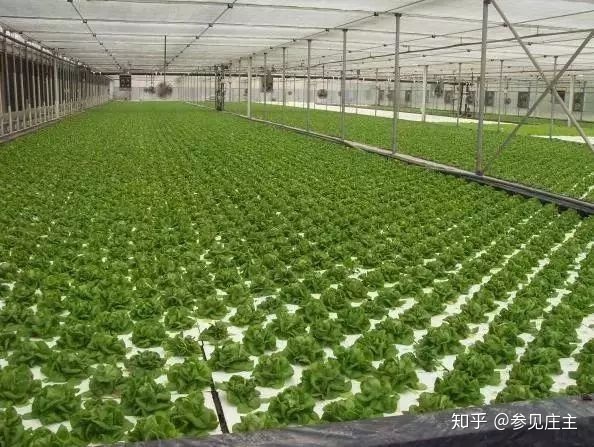 盘点 | 全球七大农业强国究竟强在哪？很多和我们想象得不一样179 / 作者:教们边束千 / 帖子ID:107194