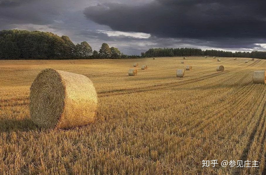 盘点 | 全球七大农业强国究竟强在哪？很多和我们想象得不一样125 / 作者:教们边束千 / 帖子ID:107194