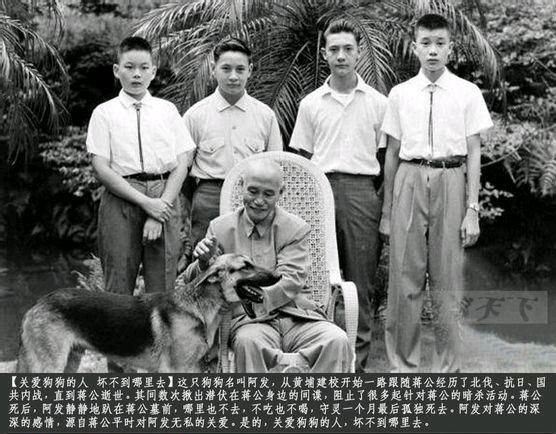 有哪些有趣的历史故事/历史人物？-2.jpg