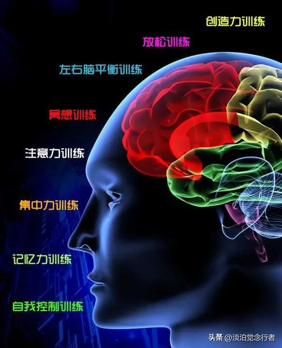认识大脑，让大脑聪明起来，每个人都必看的健脑科学知识325 / 作者:fck1956272 / 帖子ID:107720