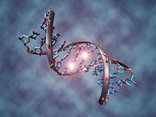 Gen Bio | 新方法研究人群DNA甲基化差异， 效果远超 ...798 / 作者:苏无鸢 / 帖子ID:107929