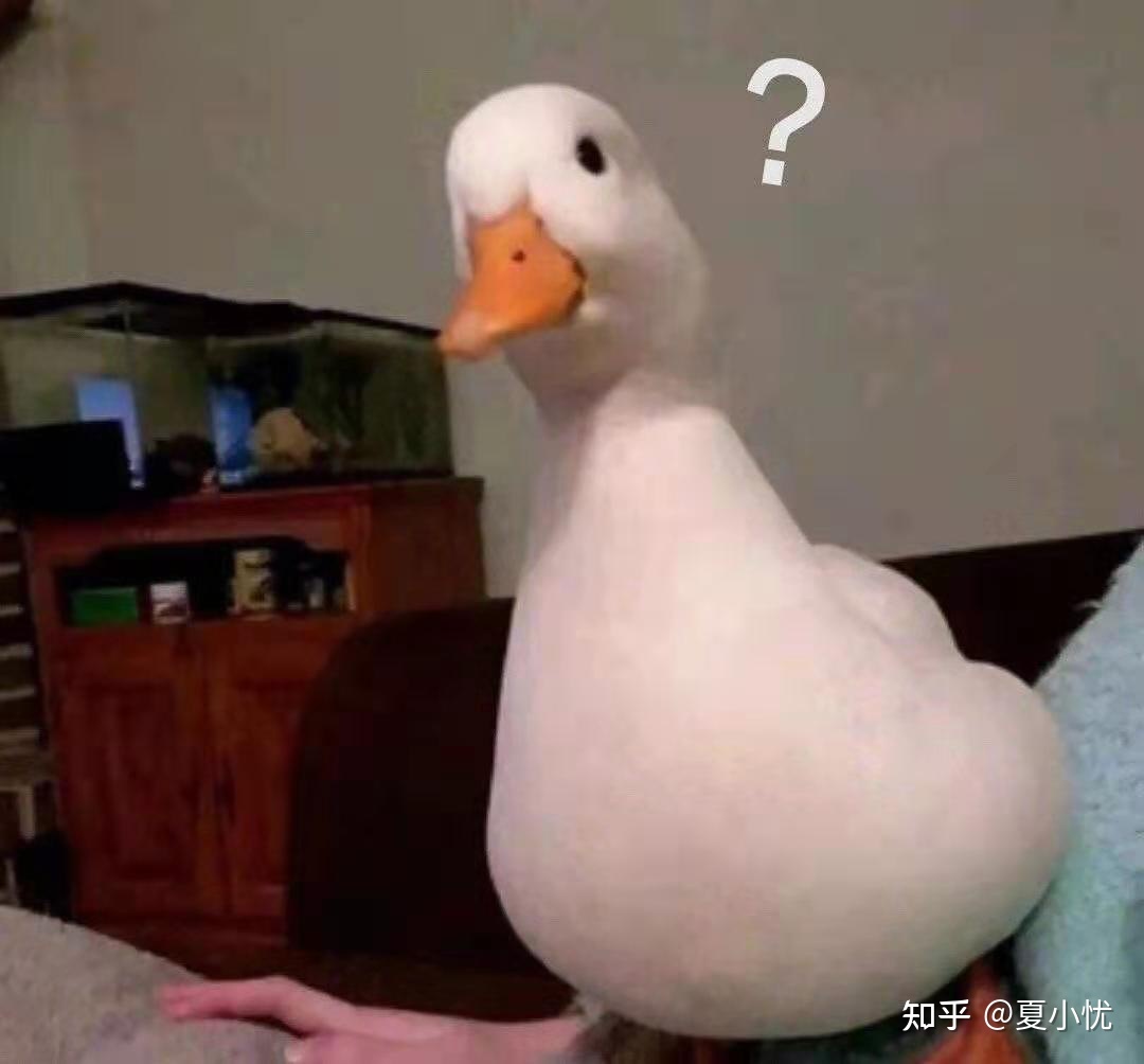 不晦涩难懂，适合六岁孩子的历史启蒙读物？-1.jpg