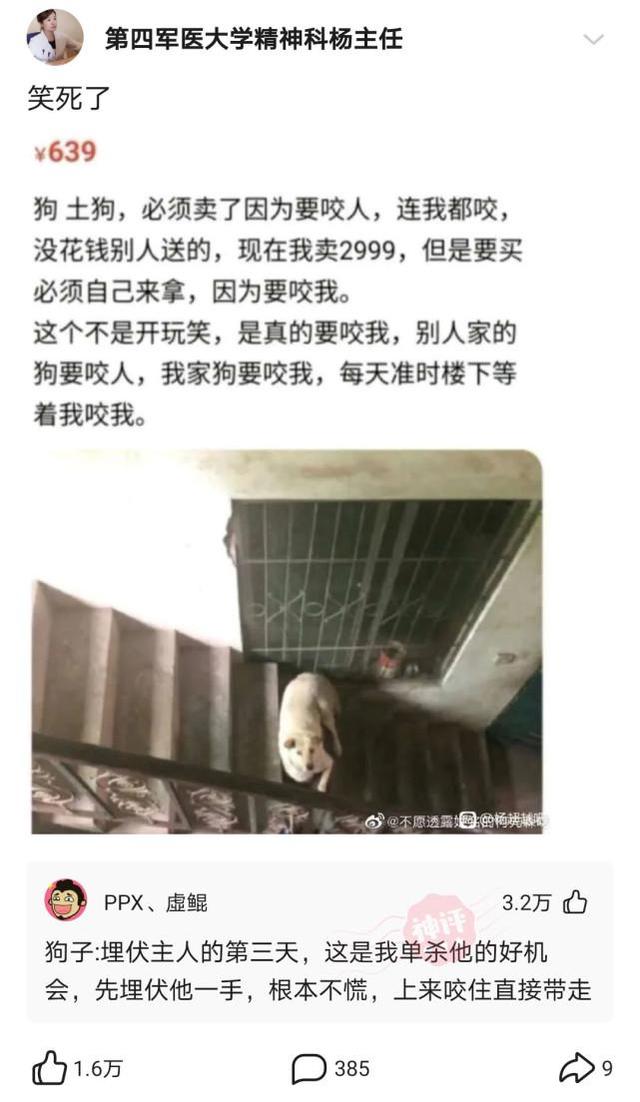 神回复：为啥UFO每次都去美国而不是来我们中国呢？神评笑喷我了466 / 作者:没有昵称513 / 帖子ID:108248