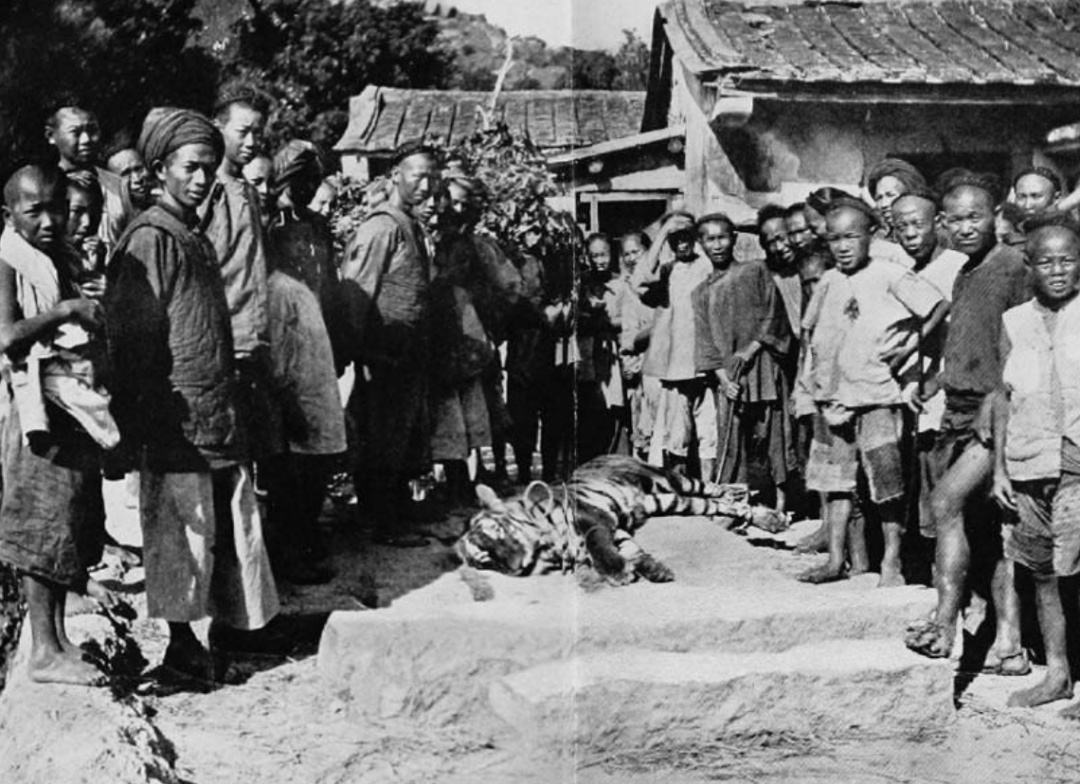 历史上的中国（影像）-15.jpg