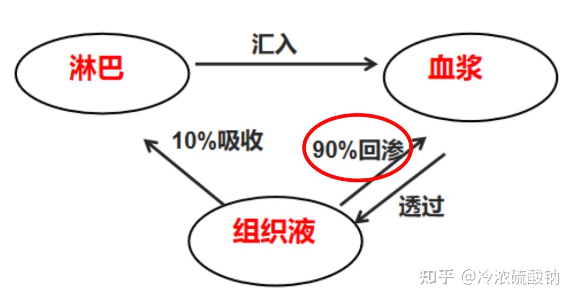 生物学选择性必修一重难易错点总结187 / 作者:风之语936 / 帖子ID:108309