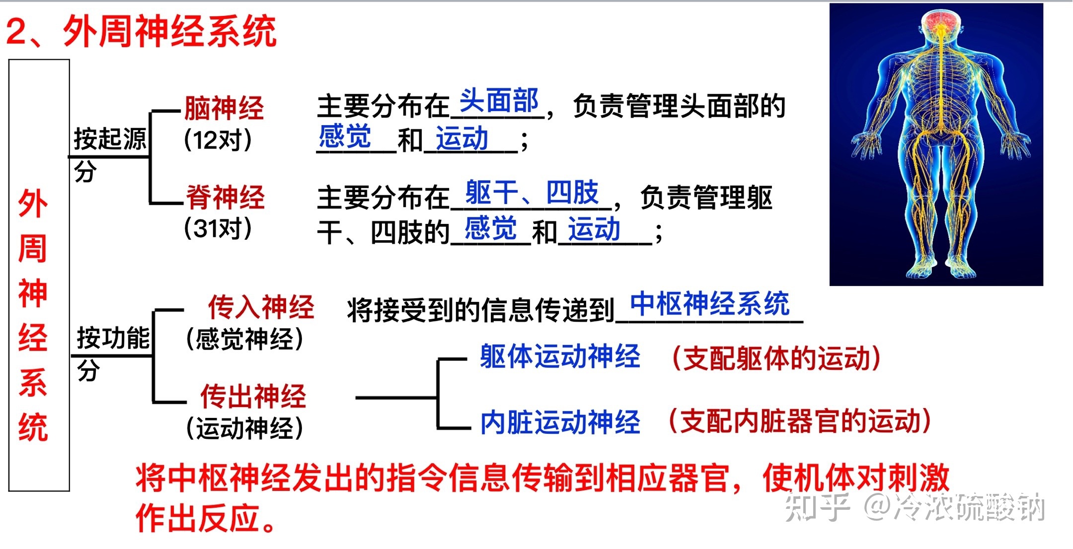 生物学选择性必修一重难易错点总结347 / 作者:风之语936 / 帖子ID:108309