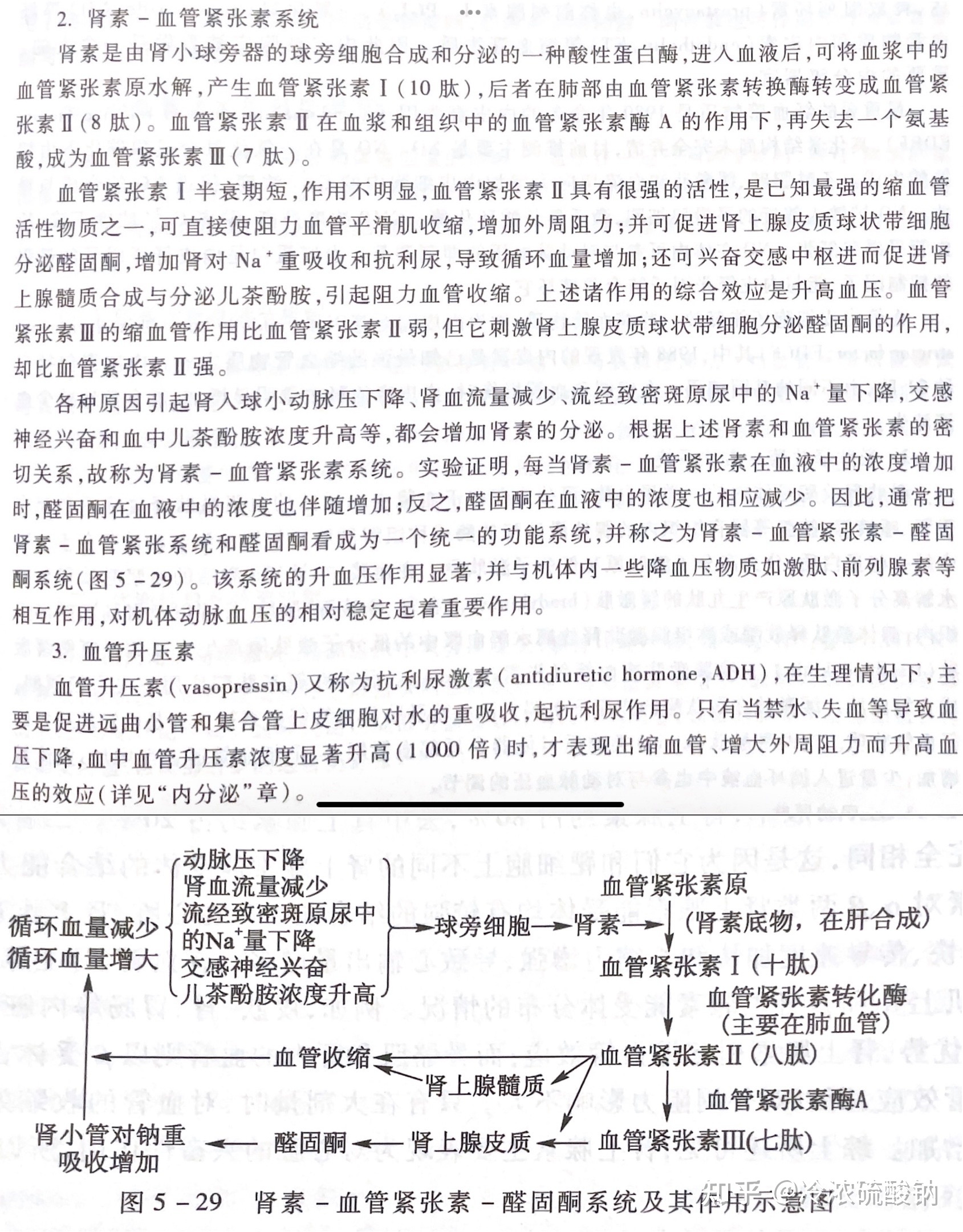 生物学选择性必修一重难易错点总结308 / 作者:风之语936 / 帖子ID:108309