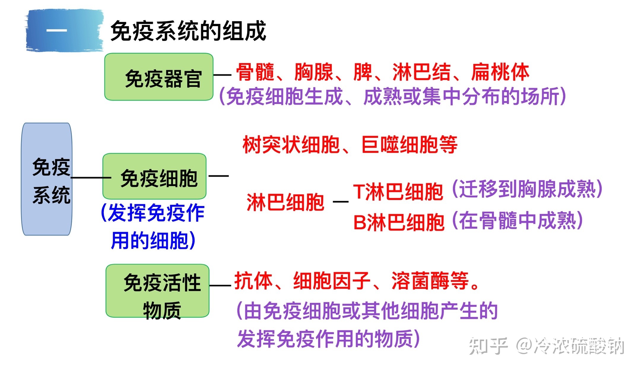 生物学选择性必修一重难易错点总结538 / 作者:风之语936 / 帖子ID:108309