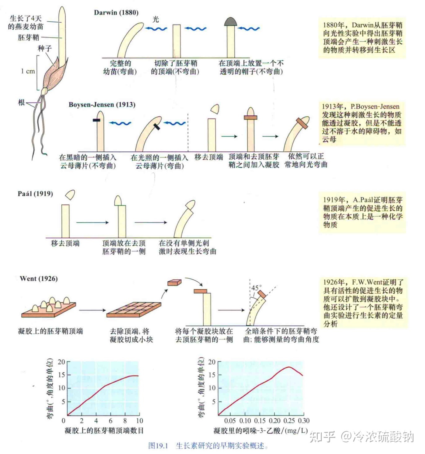生物学选择性必修一重难易错点总结51 / 作者:风之语936 / 帖子ID:108309