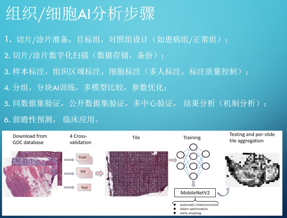 Nat Biotech | 新方法可获取单个细胞转录历史记录503 / 作者:寒武季节俨 / 帖子ID:108367