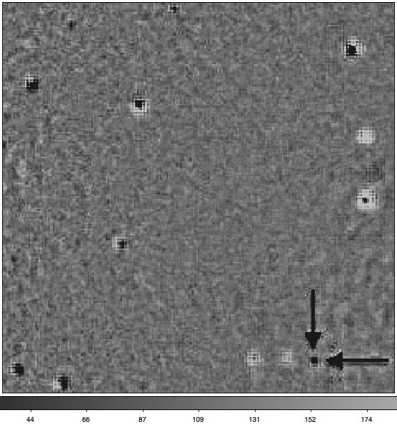 再发新星M31N 2022-09a发现记839 / 作者:吖咩嘚咩s / 帖子ID:108522