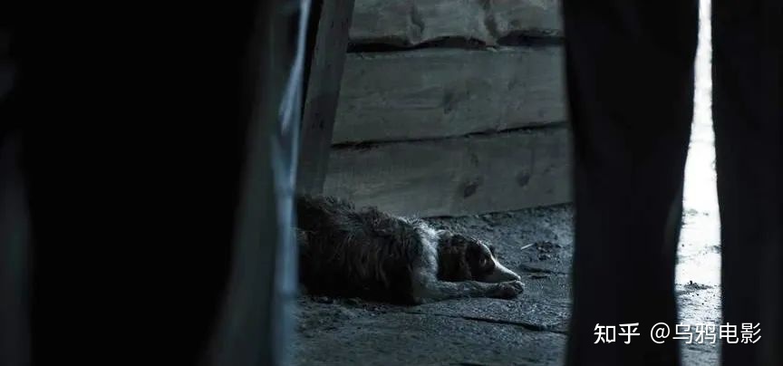 亏得血本无归，无名难看，是王一博的锅？-4.jpg