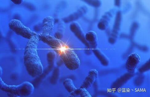 不要太谦虚了，整个银河系中，人类可能是最高级的智慧文明754 / 作者:凑热闹好玩岳 / 帖子ID:109128