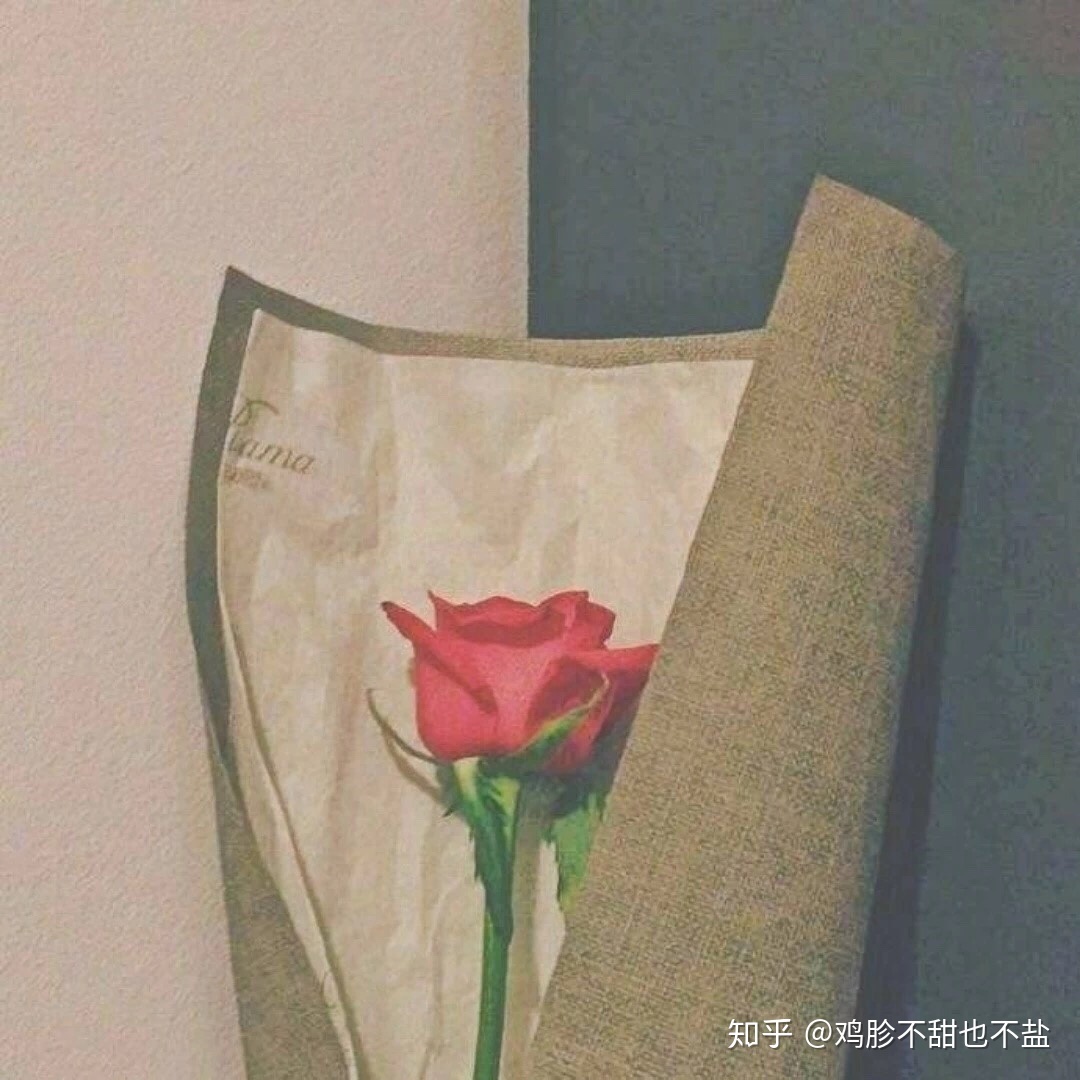 有哪些关于宇宙的句子？174 / 作者:你时决提 / 帖子ID:109156