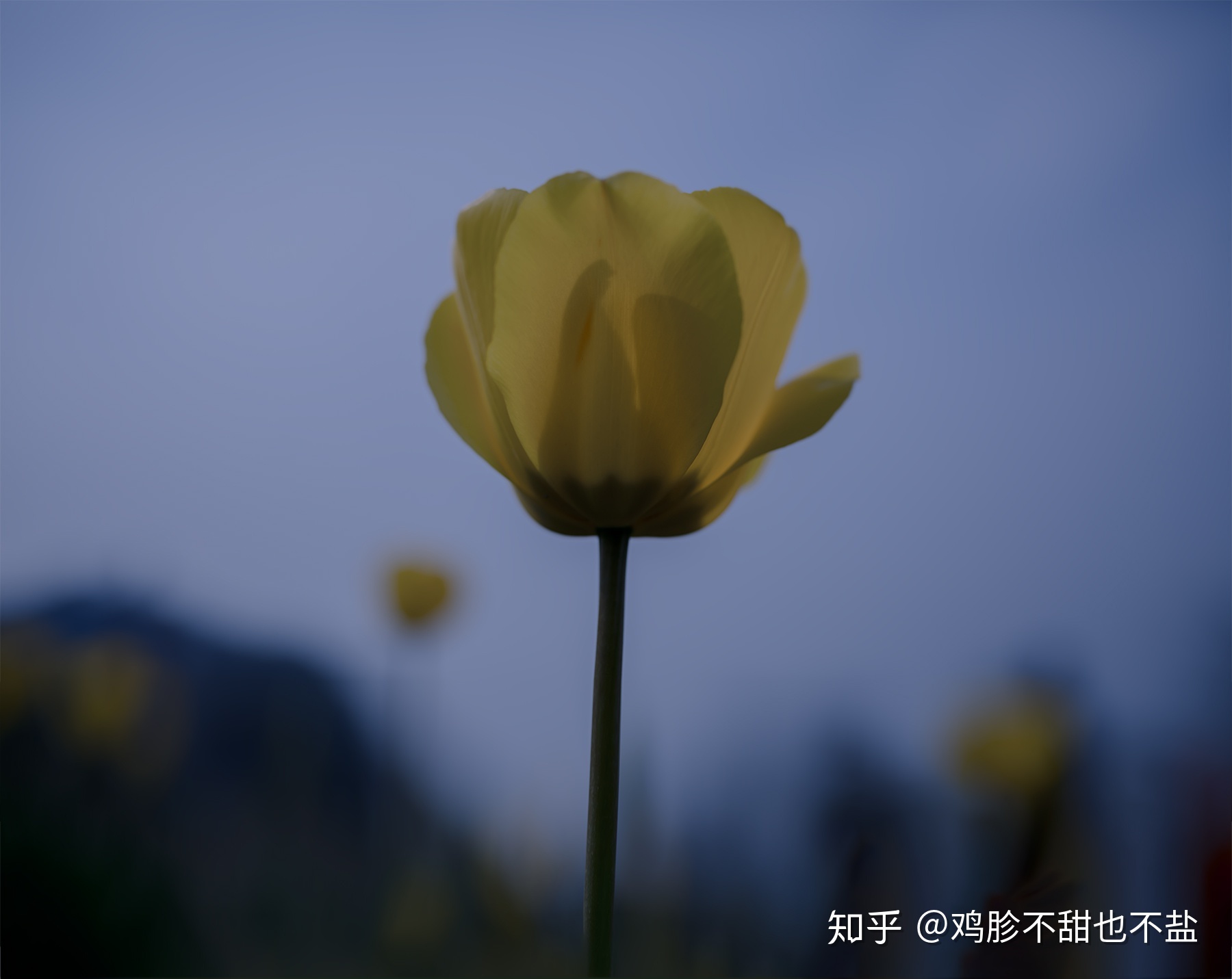 有哪些关于宇宙的句子？54 / 作者:你时决提 / 帖子ID:109156