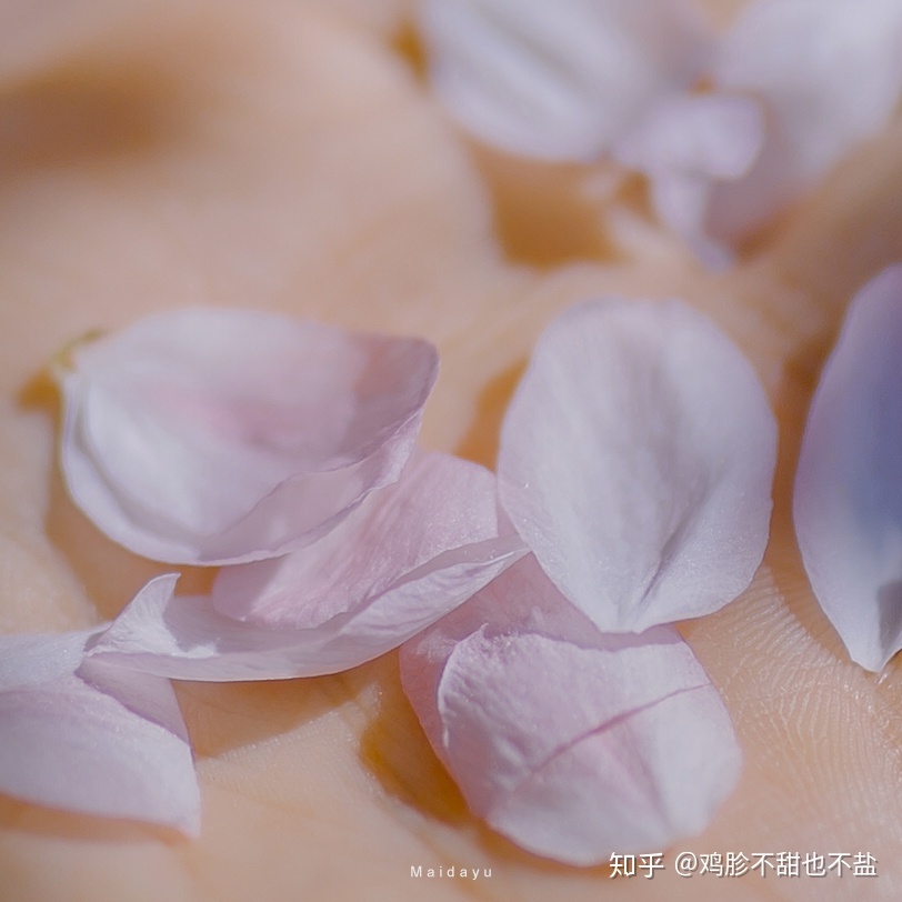 有哪些关于宇宙的句子？173 / 作者:你时决提 / 帖子ID:109156