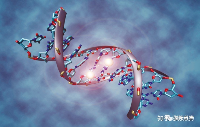 2022年生物信息学推文汇总一览855 / 作者:丫头喜欢说频 / 帖子ID:109158