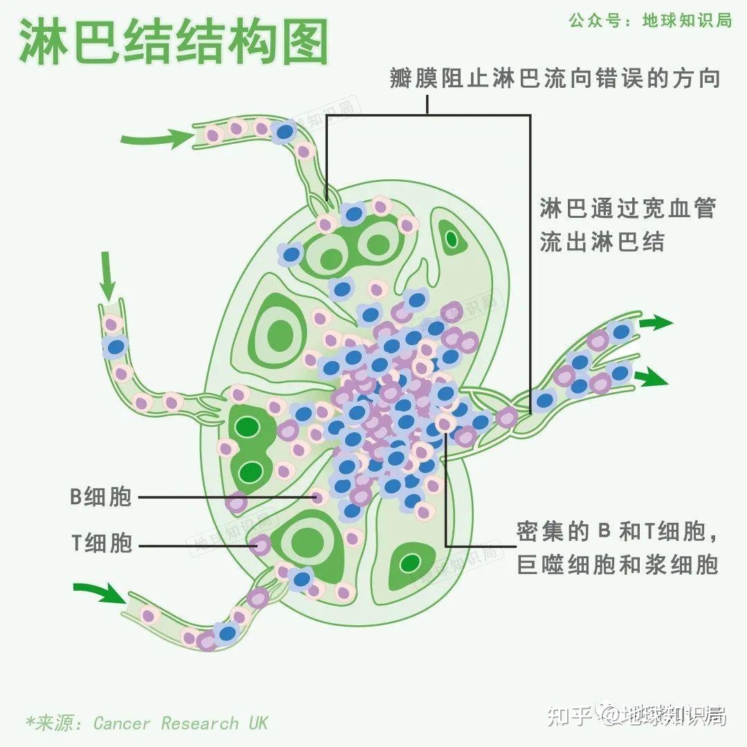没洗干净的猪大肠，不可描述 | 地球知识局55 / 作者:是鹅好甜 / 帖子ID:109205