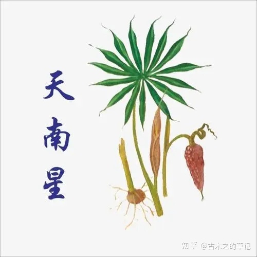 初探《本草图经》中的生物学知识219 / 作者:待该州伙 / 帖子ID:109206