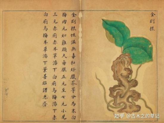 初探《本草图经》中的生物学知识258 / 作者:待该州伙 / 帖子ID:109206