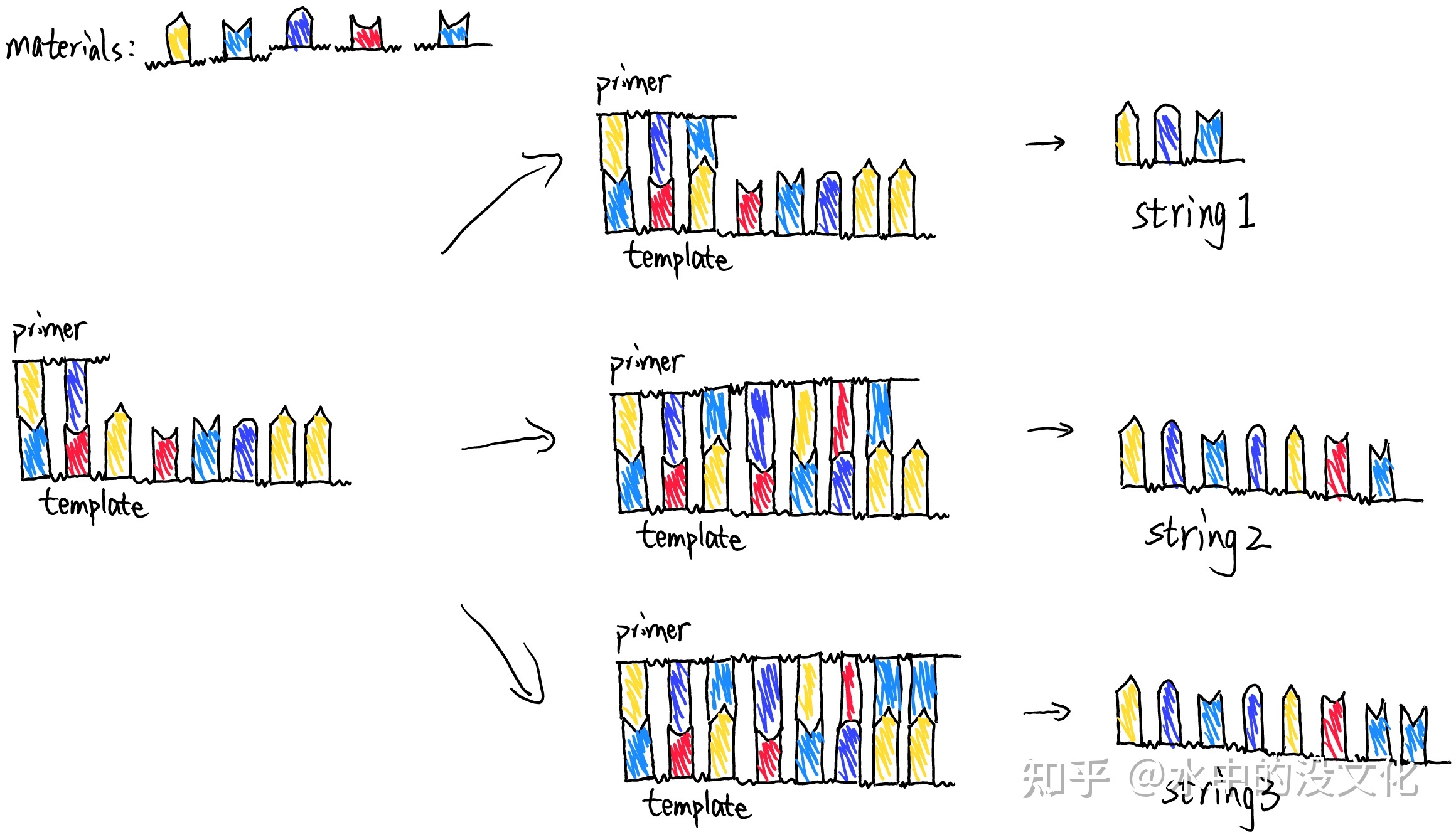 【给AI从业者看的生物知识】DNA测序（一）——第一代测 ...148 / 作者:15254714558 / 帖子ID:109388