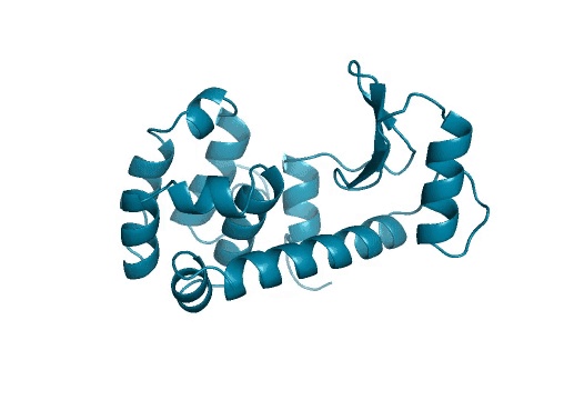 超越诺奖？生物界「ChatGPT」首次实现从零合成全新蛋白 ...976 / 作者:果仙奇缘称 / 帖子ID:109415