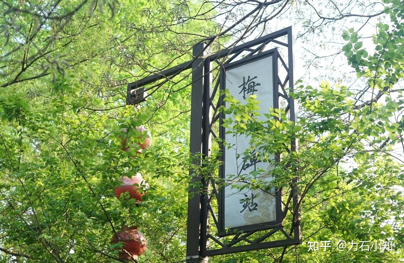 文旅指南|藏在杭州五柳巷里的市井故事与人间烟火-8.jpg