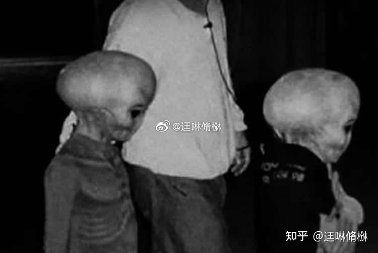 文件曝光：一封神秘邮件656 / 作者:祖国你在我心上 / 帖子ID:109531