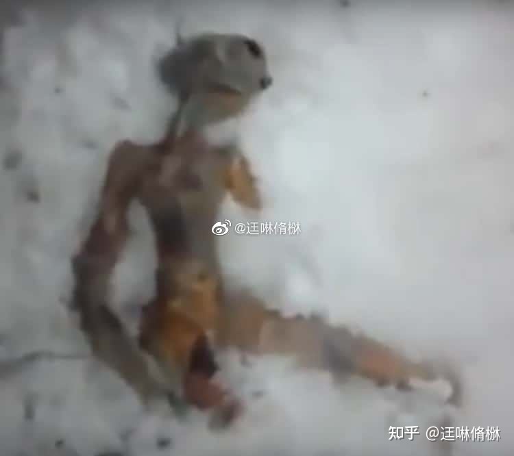 文件曝光：一封神秘邮件259 / 作者:祖国你在我心上 / 帖子ID:109531