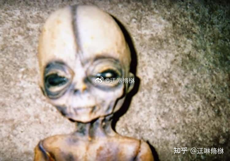 文件曝光：一封神秘邮件81 / 作者:祖国你在我心上 / 帖子ID:109531