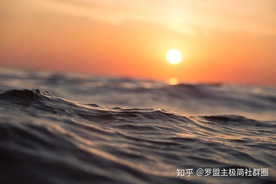 罗芯：这个世界上没有白费的功夫，哪怕是走错了路，那也是 ...146 / 作者:马幼文 / 帖子ID:109679