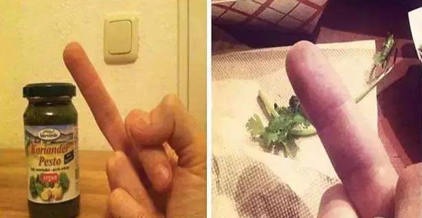 世界反香菜联盟——只要不吃香菜，咱们还能当朋友！810 / 作者:123457468 / 帖子ID:109777