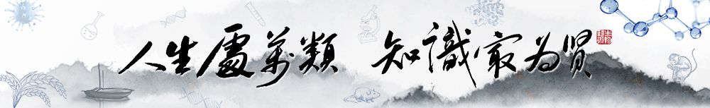 zhuanlan.zhihu.com417 / 作者:我太没有才了恼 / 帖子ID:109828