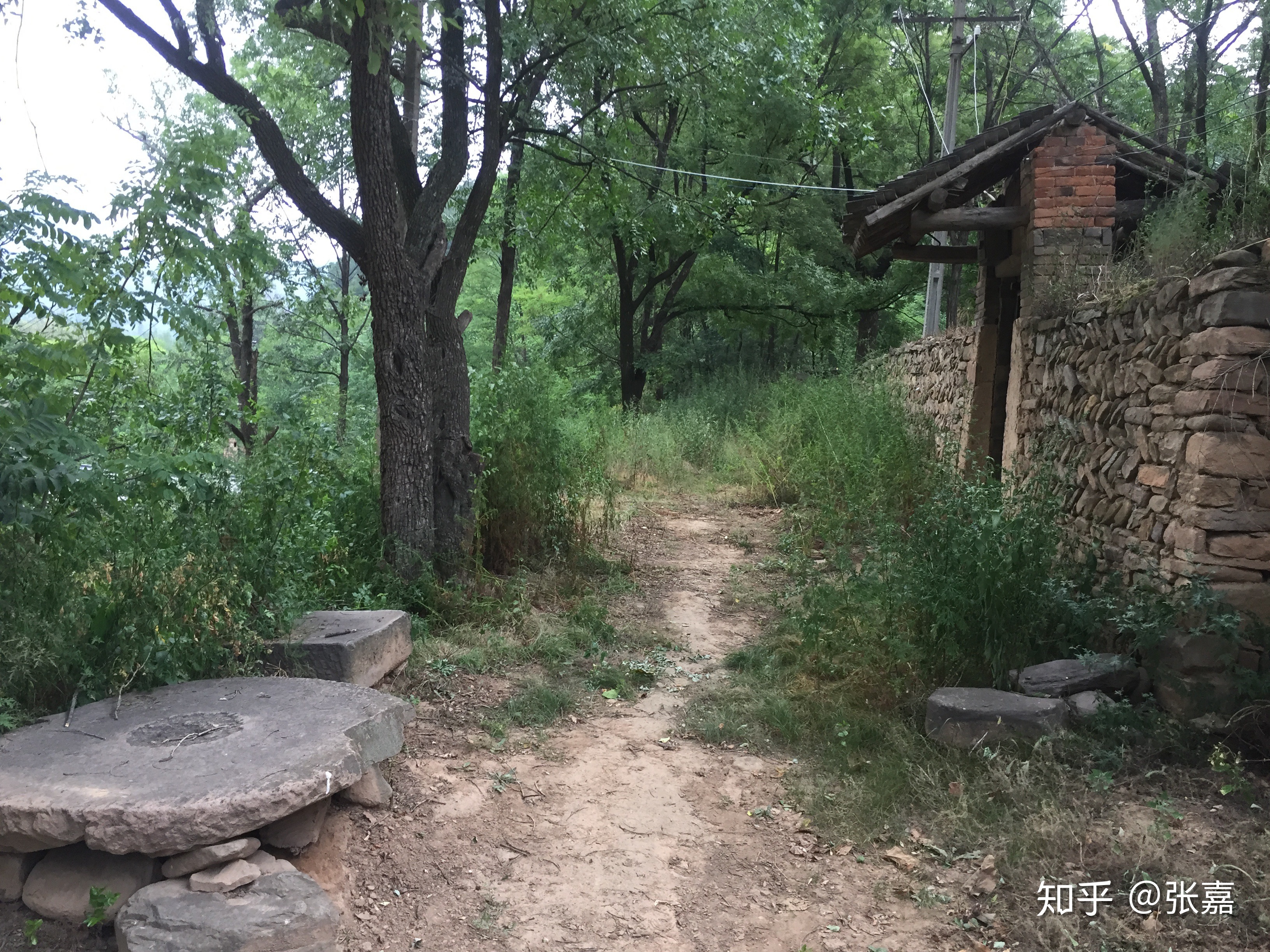 有什么可怕真实的灵异事件呢？535 / 作者:123457603 / 帖子ID:109909