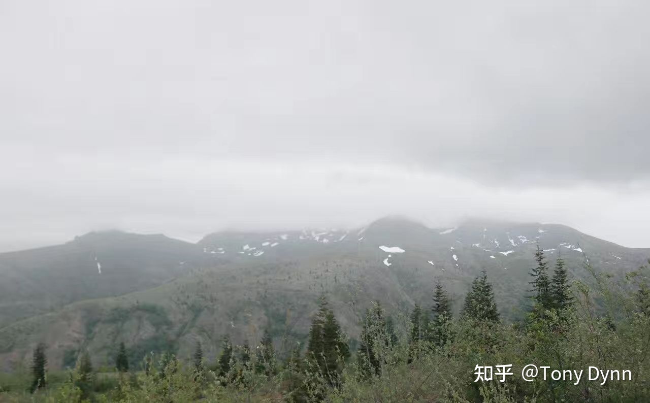 经常开夜车跑长途的司机有没有遇到过灵异事件？576 / 作者:嘴边反复的话普 / 帖子ID:109911