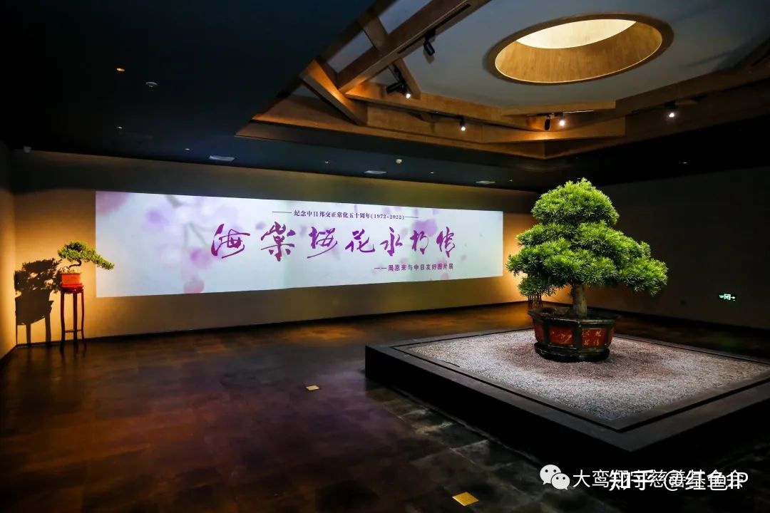 海棠樱花永相传——周恩来与中日友好图片展北京顺利首展 ...-2.jpg