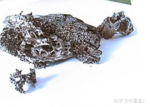 前苏联版“罗斯维尔”事件：野猪河UFO坠毁！504 / 作者:123457608 / 帖子ID:109943