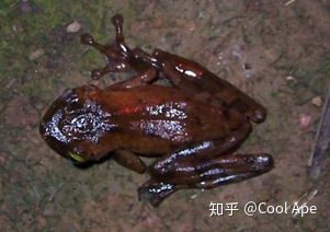 哪个瞬间让你爱上了生物学？566 / 作者:薇唯玮味 / 帖子ID:110060