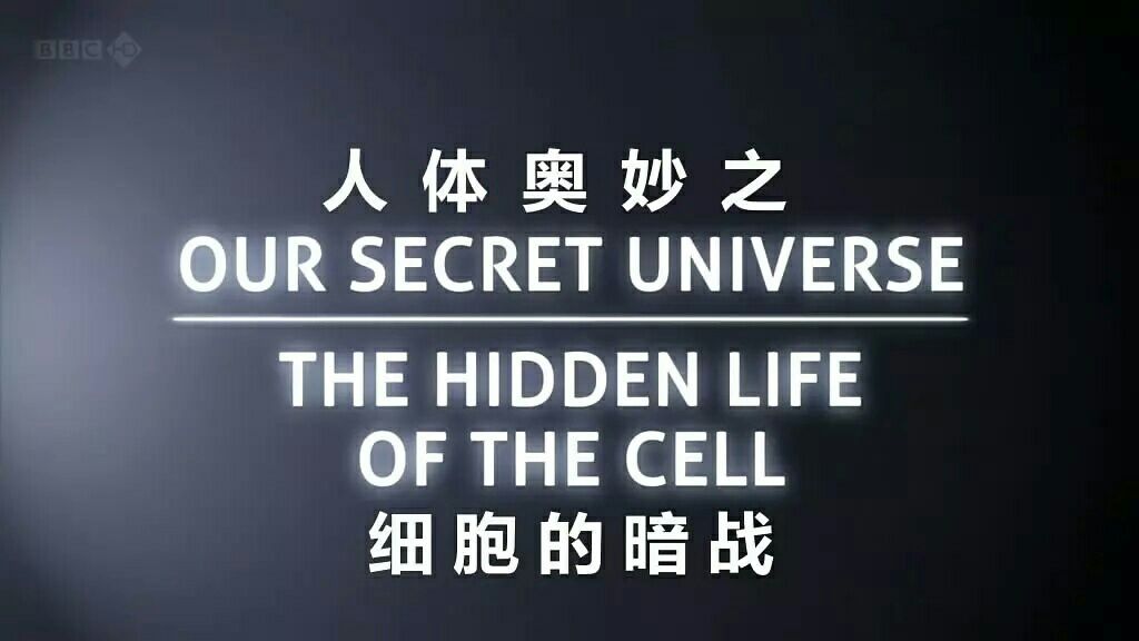 哪个瞬间让你爱上了生物学？333 / 作者:李墨285 / 帖子ID:110060