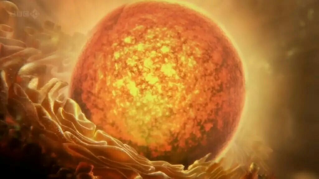 哪个瞬间让你爱上了生物学？925 / 作者:李墨285 / 帖子ID:110060