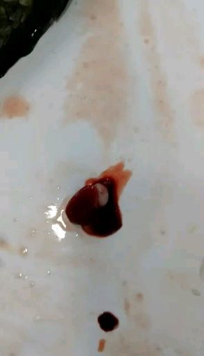 生物学中有哪些好玩的知识？488 / 作者:123457865 / 帖子ID:110093