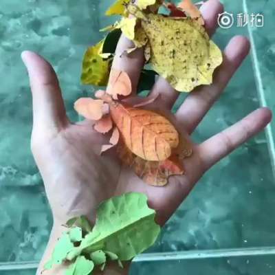 生物学中有哪些好玩的知识？810 / 作者:123457297 / 帖子ID:110093