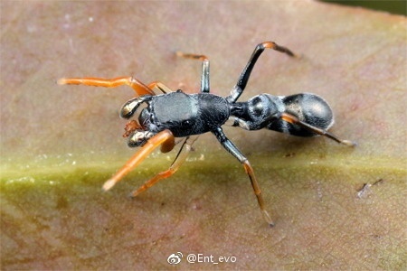 生物学中有哪些好玩的知识？206 / 作者:123457297 / 帖子ID:110093
