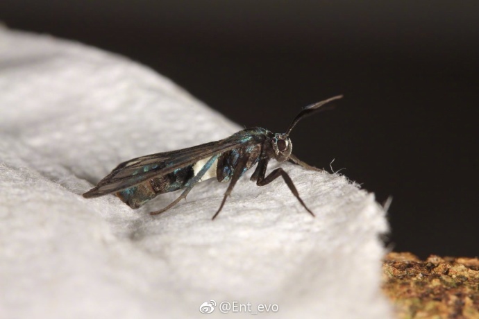 生物学中有哪些好玩的知识？903 / 作者:123457297 / 帖子ID:110093