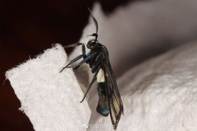 生物学中有哪些好玩的知识？808 / 作者:123457297 / 帖子ID:110093