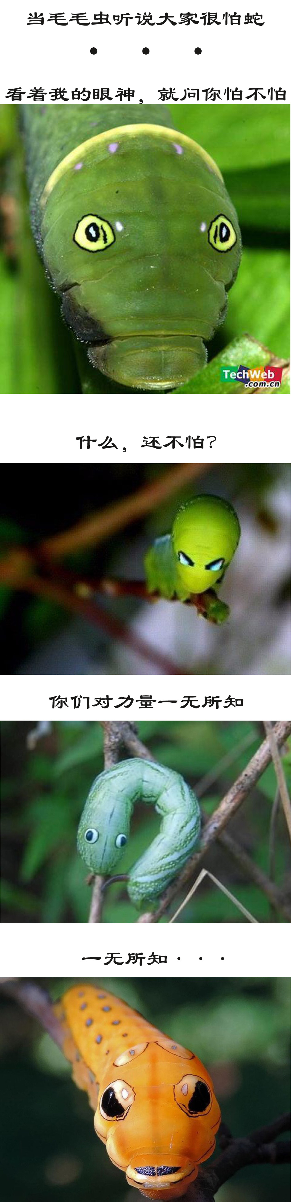 生物学中有哪些好玩的知识？844 / 作者:123457297 / 帖子ID:110093