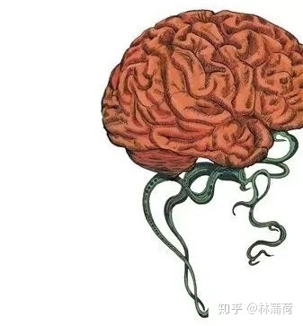 《天坑鹰猎》中有哪些细思极恐的地方？389 / 作者:柔柔树呆熊呆j / 帖子ID:110159