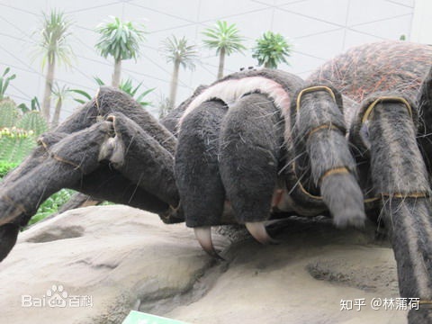 《天坑鹰猎》中有哪些细思极恐的地方？937 / 作者:柔柔树呆熊呆j / 帖子ID:110159