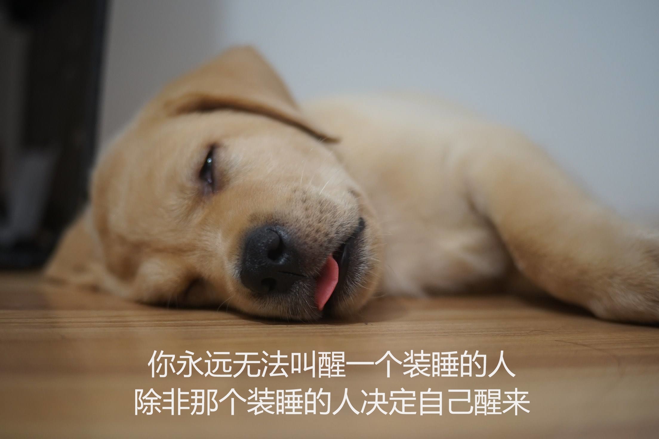 请问你从历史事件中得到了哪些启发或明白了什么道理？-2.jpg
